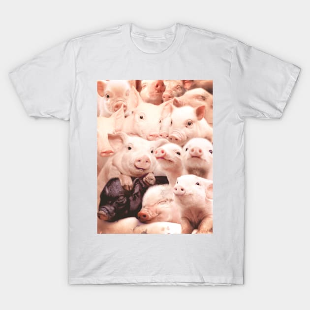 Pigs T-Shirt by MaxencePierrard